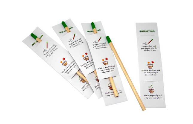Sprout Pencil