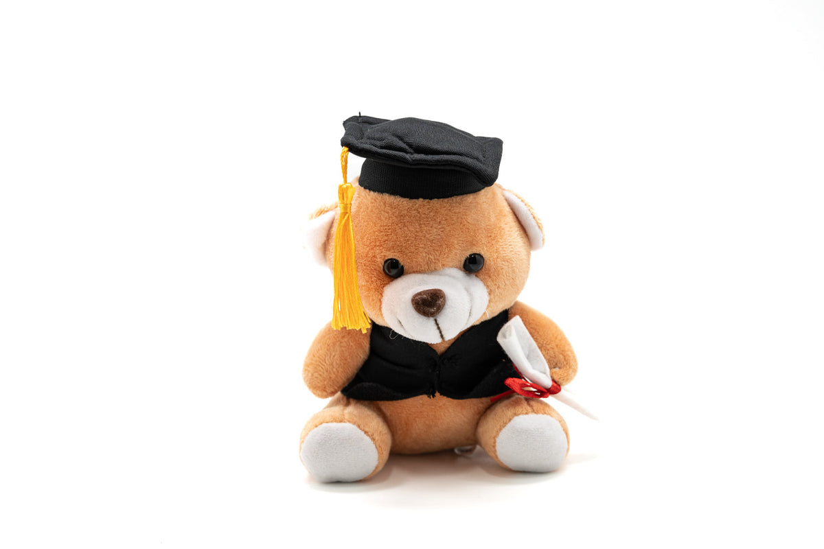 16cm Graduation Soft Bear 1PC (Name Printing)