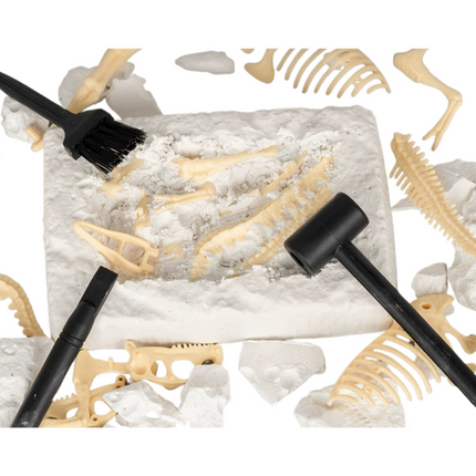 Dinosaur Fossil Dig Excavation Kit