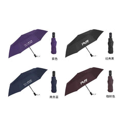 Automatic Folding Umbrella IWG FC One Dollar Only