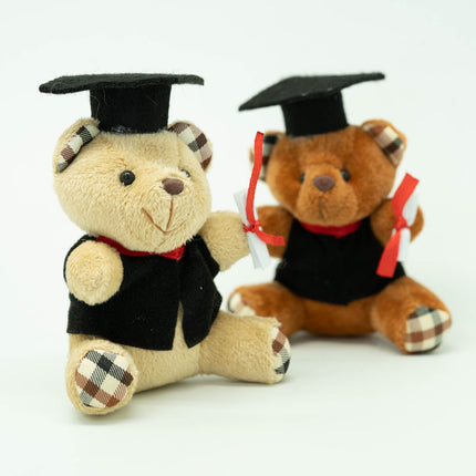 Graduation Bear Soft Toy Gift Ideas and Novelties One Dollar Only