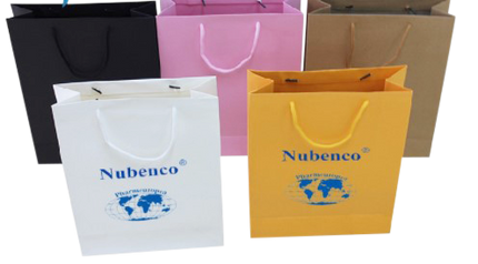 Customised Paper Bag (Preorder) One Dollar Only