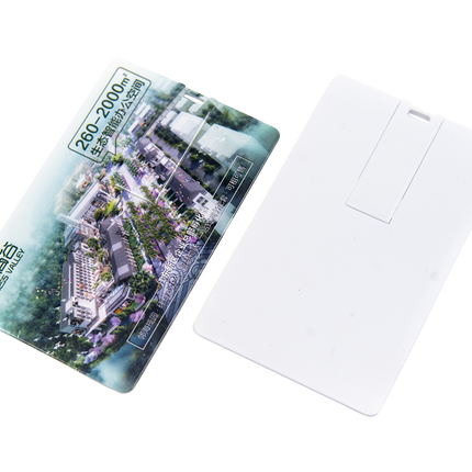 Customised Thumb Drive (Preorder) One Dollar Only