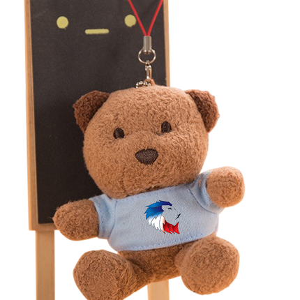 Customised Plush Toy Keychain (Preorder) One Dollar Only