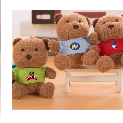 Customised Plush Toy Keychain (Preorder) One Dollar Only