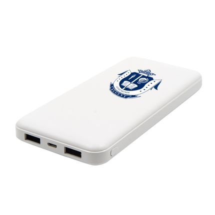 Customised Power Bank (Preorder) One Dollar Only