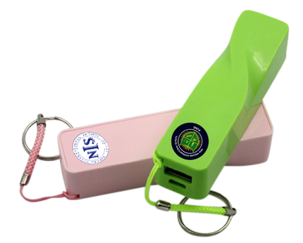 Customised Power Bank (Preorder) One Dollar Only