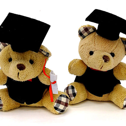 Graduation Bear Soft Toy Gift Ideas and Novelties One Dollar Only