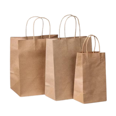 Collection image for: Corporate Gift Paper Bags