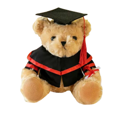 25cm Graduation Bear (Deliver in 4-6 weeks)