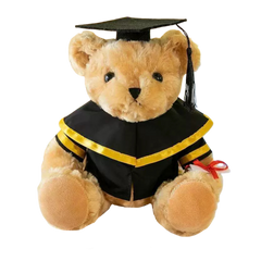 25cm Graduation Bear (Deliver in 4-6 weeks)