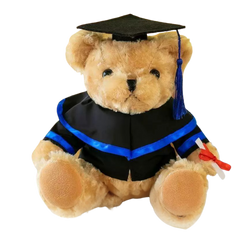 25cm Graduation Bear (Deliver in 4-6 weeks)