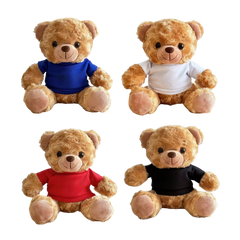 Collection image for: Personalised Graduation Bears in Singapore
