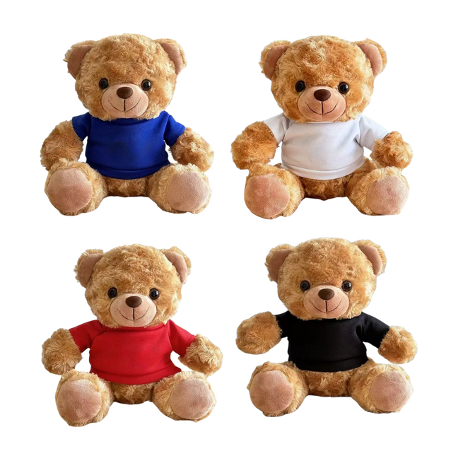 22cm T-Shirt Bear Soft Toy (Deliver in 4-6 weeks)