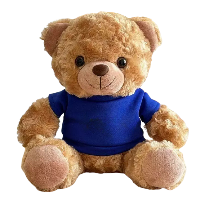 22cm T-Shirt Bear Soft Toy (Deliver in 4-6 weeks)