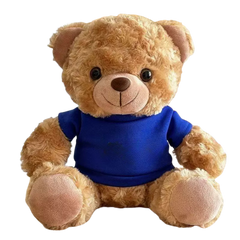 22cm T-Shirt Bear Soft Toy (Deliver in 4-6 weeks)