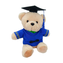 25cm Graduation Gown Bear (Deliver in 4-6 weeks)
