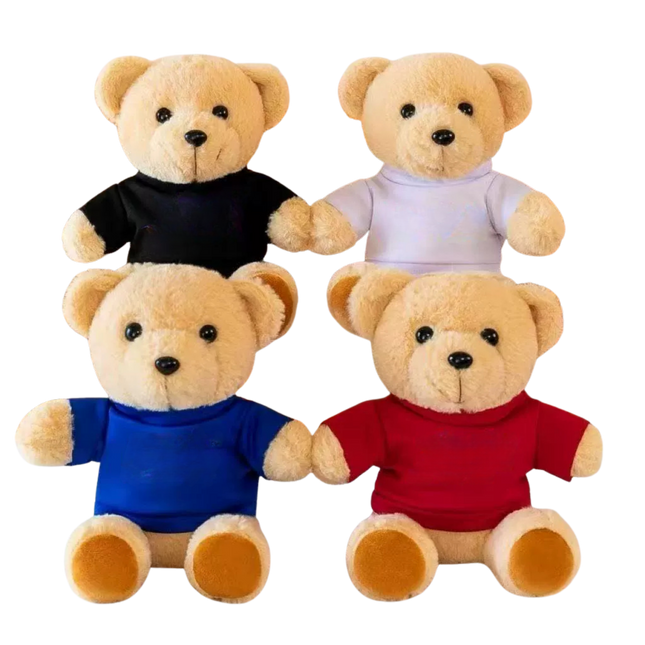 25cm T-Shirt Bear Soft Toy (Deliver in 4-6 weeks)