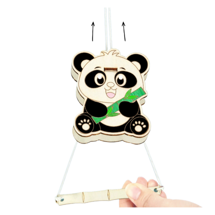 DIY Panda Friction Science Kit