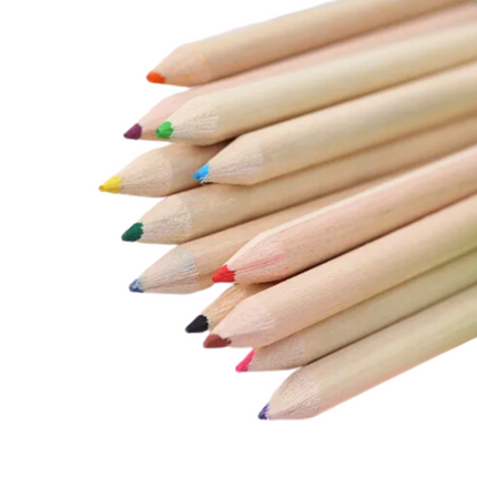 12 pcs Graduation Bear Tube Colour Pencil