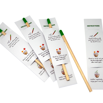 Sprout Pencil