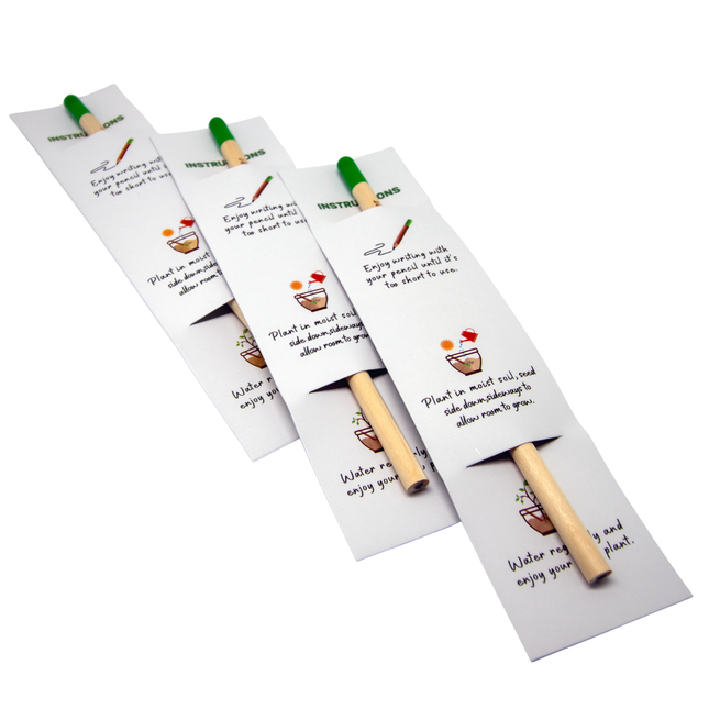 Sprout Pencil