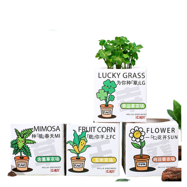 DIY Plant Grow It Yourself