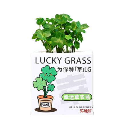 DIY Plant Grow It Yourself