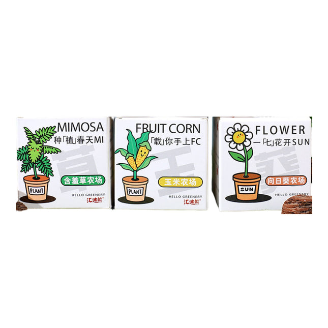 DIY Plant Grow It Yourself