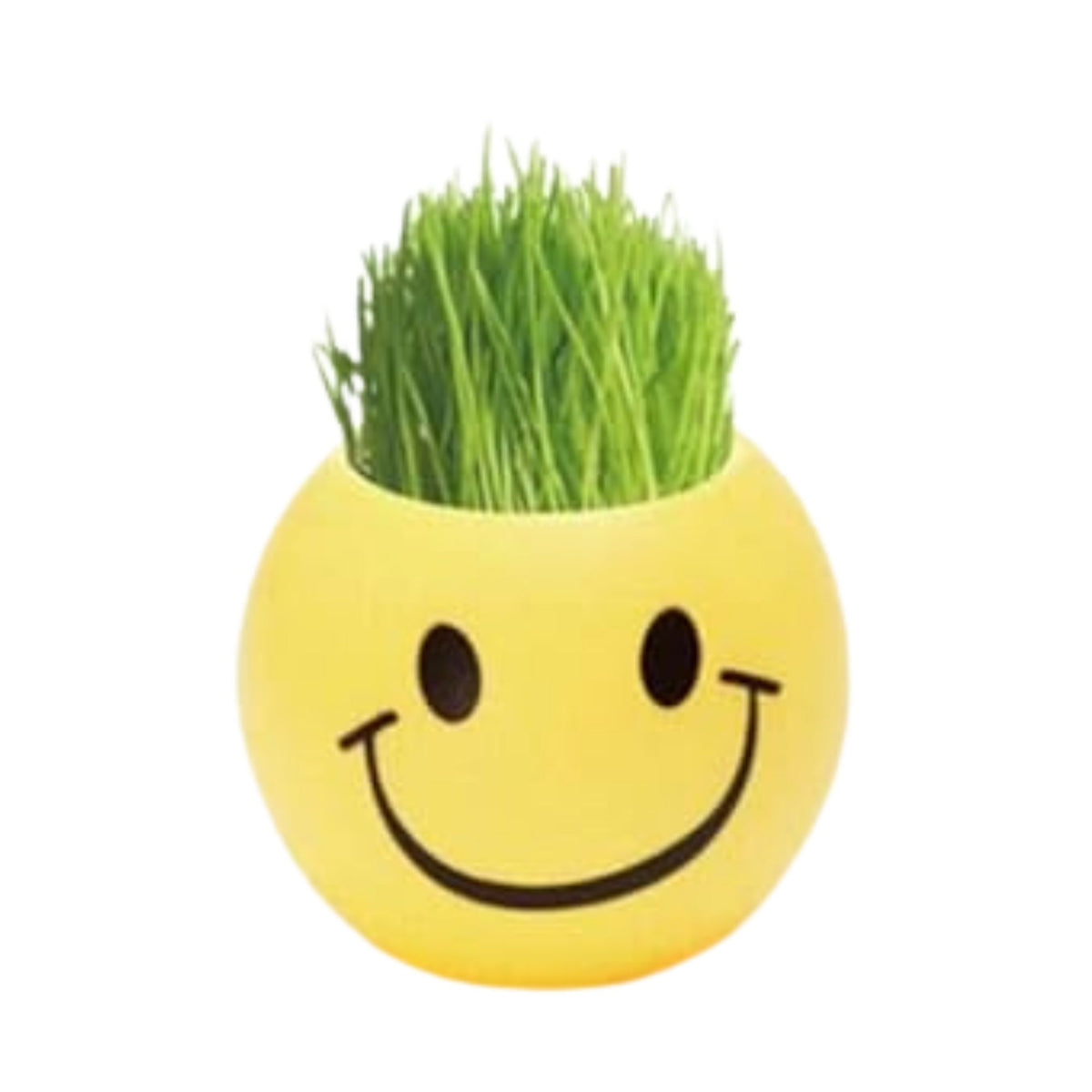 DIY Emoji Plant