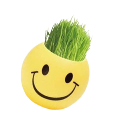 DIY Emoji Plant