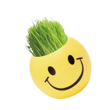 DIY Emoji Plant