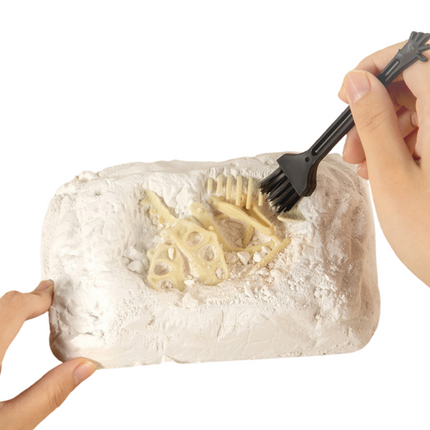 Dinosaur Fossil Dig Excavation Kit