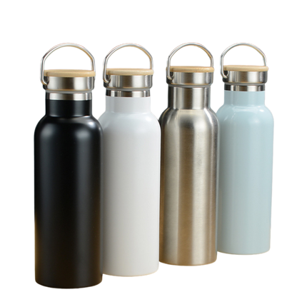 Double Wall Stainless Steel Bottle (Deliver In 4-6 weeks)