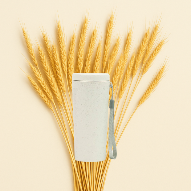 Wheat