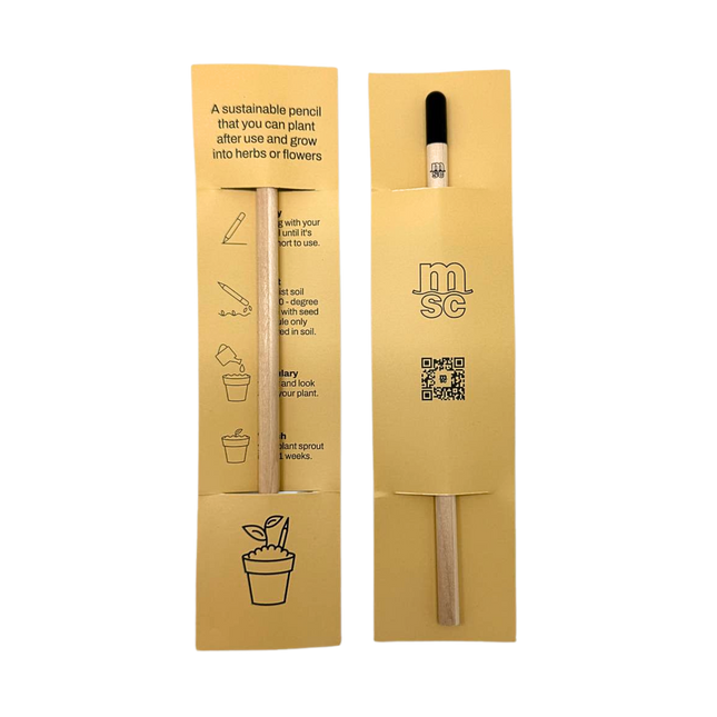 Customised Sprout Pencil (Preorder)