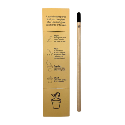 Customised Sprout Pencil (Preorder)