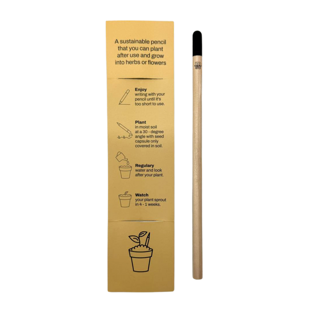 Customised Sprout Pencil (Preorder)