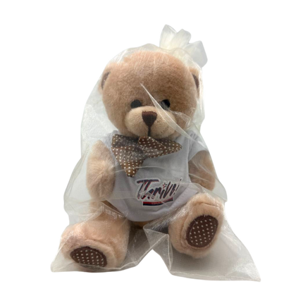 Customised Bear Soft Toy (Preorder)