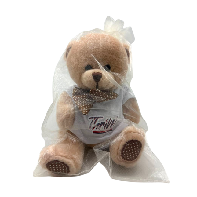 Customised Bear Soft Toy (Preorder)