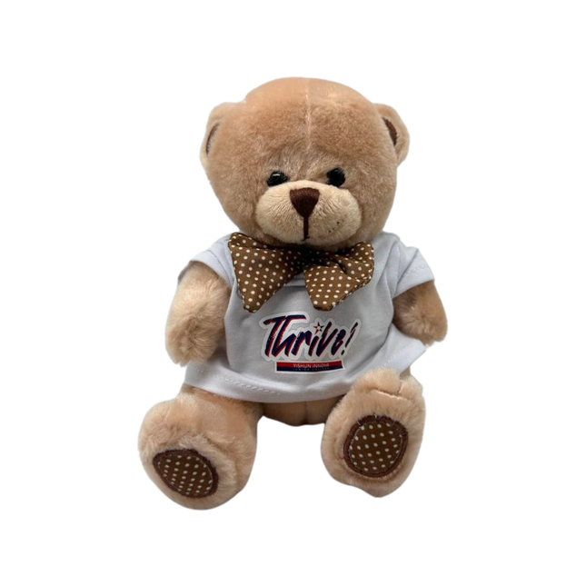 Customised Bear Soft Toy (Preorder)