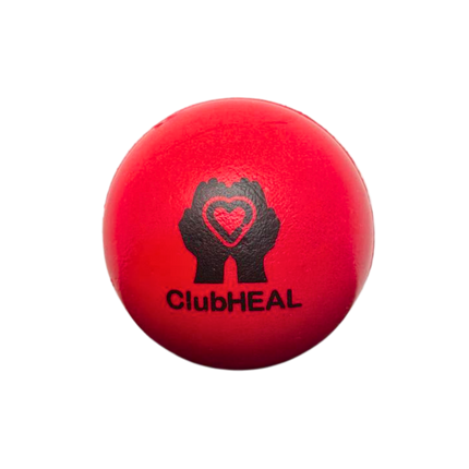 Customised Stress Ball (Preorder)