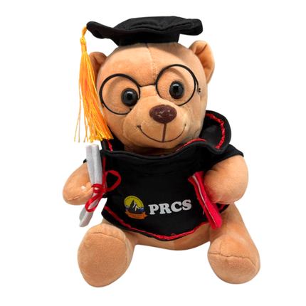 Customised 23cm Graduation Teddy Bear (Preorder)