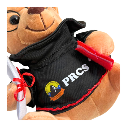 Customised 23cm Graduation Teddy Bear (Preorder)