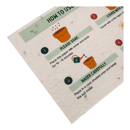 Customised Sprout Pencil with A6 Seed Plantable Paper (Preorder)