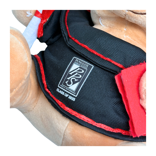 Customised 23cm Graduation Teddy Bear (Preorder)