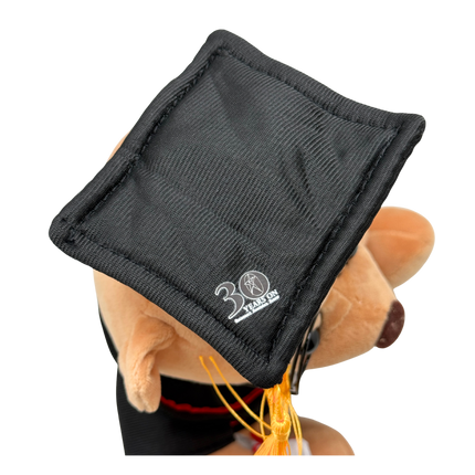 Customised 23cm Graduation Teddy Bear (Preorder)