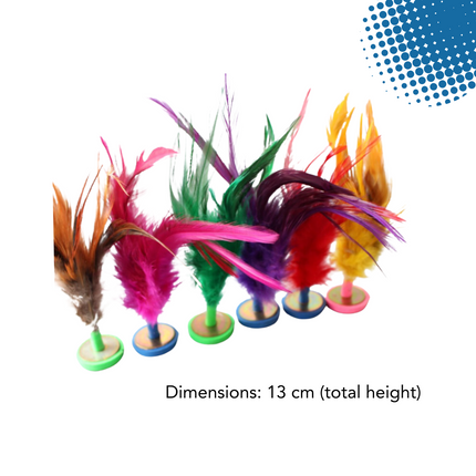 Feather Chapteh (Box of 20)