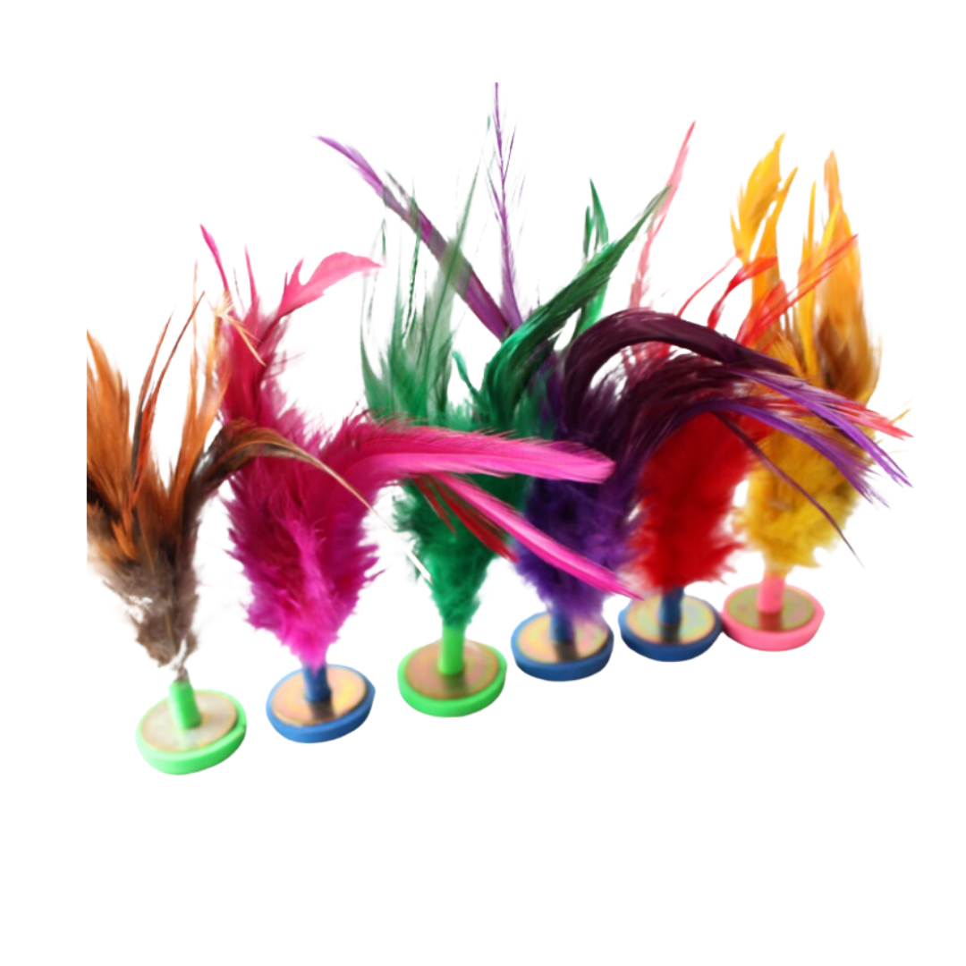 Feather Chapteh (Box of 20)