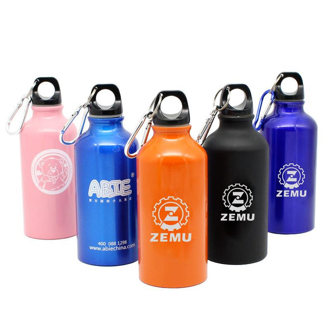 Stainless Steel Drinking Bottle With Narrow Handle And Clip One Dollar Only